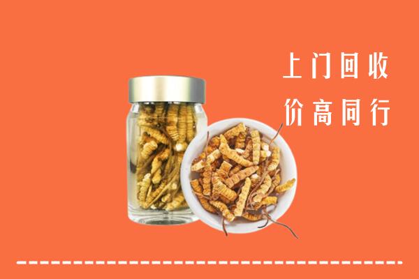 收购行情：虎丘区回收冬虫夏草